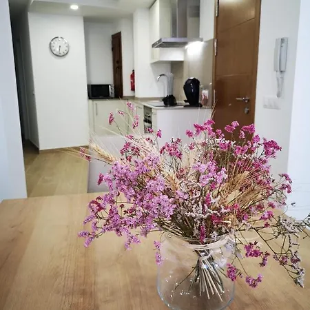 Ag En Conil Conil De La Frontera